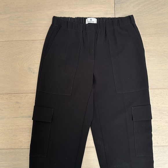 Aritzia Babaton Titan cargo pants - Picture 4 of 4